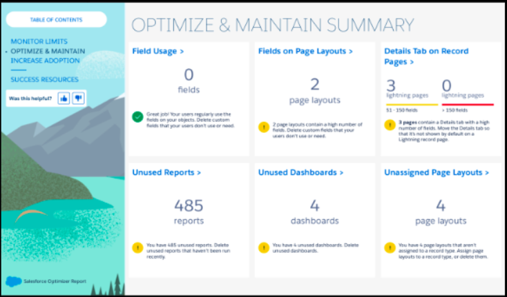 Salesforce Optimizer Report.