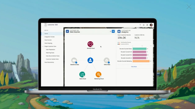 Salesforce Customer 360 interface